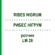 РИБЕС НІГРУМ (RIBES NIGRUM) LM 28 розчин 10 мл - Гомеопатія ARCANA DR.SEWERIN