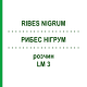 РИБЕС НІГРУМ (RIBES NIGRUM) LM 3 розчин 10 мл - Гомеопатія ARCANA DR.SEWERIN
