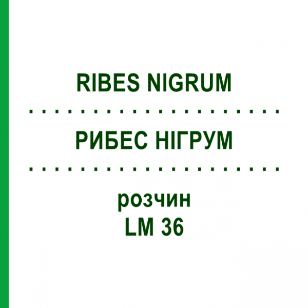 РИБЕС НІГРУМ (RIBES NIGRUM) LM 36 розчин 10 мл - Гомеопатія ARCANA DR.SEWERIN