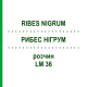 РИБЕС НІГРУМ (RIBES NIGRUM) LM 36 розчин 10 мл - Гомеопатія ARCANA DR.SEWERIN