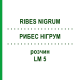 РИБЕС НІГРУМ (RIBES NIGRUM) LM 5 розчин 10 мл - Гомеопатія ARCANA DR.SEWERIN