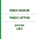 РИБЕС НІГРУМ (RIBES NIGRUM) LM 6 розчин 10 мл - Гомеопатія ARCANA DR.SEWERIN
