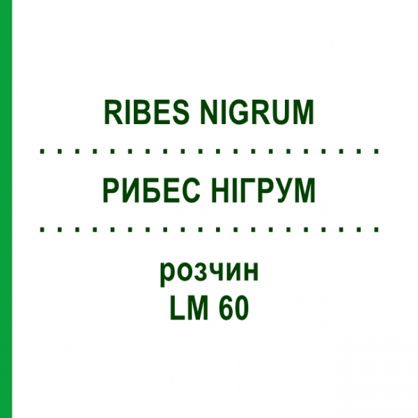 РИБЕС НІГРУМ (RIBES NIGRUM) LM 60 розчин 10 мл - Гомеопатія ARCANA DR.SEWERIN