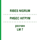 РИБЕС НІГРУМ (RIBES NIGRUM) LM 7 розчин 10 мл - Гомеопатія ARCANA DR.SEWERIN