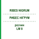 РИБЕС НІГРУМ (RIBES NIGRUM) LM 8 розчин 10 мл - Гомеопатія ARCANA DR.SEWERIN