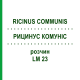 РИЦИНУС КОМУНІС (RICINUS COMMUNIS) LM 23 розчин 10 мл - Гомеопатія ARCANA DR.SEWERIN