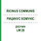 РИЦИНУС КОМУНІС (RICINUS COMMUNIS) LM 28 розчин 10 мл - Гомеопатія ARCANA DR.SEWERIN