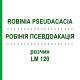 РОБІНІЯ ПСЕВДОАКАЦІЯ (ROBINIA PSEUDACACIA) LM 120 розчин 10 мл - Гомеопатія ARCANA DR.SEWERIN