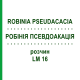 РОБІНІЯ ПСЕВДОАКАЦІЯ (ROBINIA PSEUDACACIA) LM 16 розчин 10 мл - Гомеопатія ARCANA DR.SEWERIN