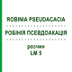 РОБІНІЯ ПСЕВДОАКАЦІЯ (ROBINIA PSEUDACACIA) LM 5 розчин 10 мл - Гомеопатія ARCANA DR.SEWERIN