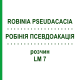 РОБІНІЯ ПСЕВДОАКАЦІЯ (ROBINIA PSEUDACACIA) LM 7 розчин 10 мл - Гомеопатія ARCANA DR.SEWERIN
