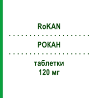 РОКАН (RoKAN) 120 мг таблетки 60 шт - Экстракт листьев гинкго билоба DR.WILLMAR SCHWABE