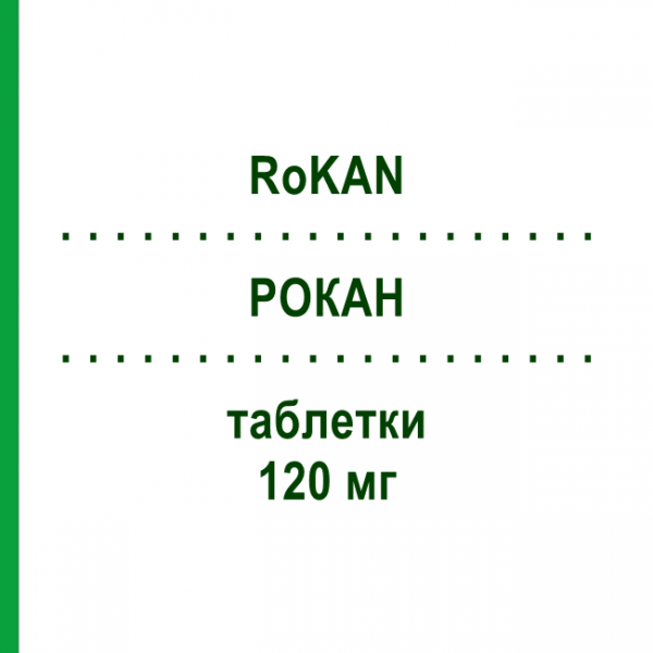 РОКАН (RoKAN) 120 мг таблетки 60 шт - Экстракт листьев гинкго билоба DR.WILLMAR SCHWABE