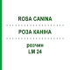 РОЗА КАНІНА (ROSA CANINA) LM 24 розчин 10 мл - Гомеопатія ARCANA DR.SEWERIN