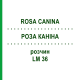 РОЗА КАНІНА (ROSA CANINA) LM 36 розчин 10 мл - Гомеопатія ARCANA DR.SEWERIN