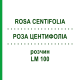 РОЗА ЦЕНТИФОЛІА (ROSA CENTIFOLIA) LM 100 розчин 10 мл - Гомеопатія ARCANA DR.SEWERIN