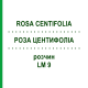 РОЗА ЦЕНТИФОЛІА (ROSA CENTIFOLIA) LM 9 розчин 10 мл - Гомеопатія ARCANA DR.SEWERIN