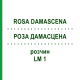 РОЗА ДАМАСЦЕНА (ROSA DAMASCENA) LM 1 розчин 10 мл - Гомеопатія ARCANA DR.SEWERIN