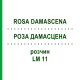 РОЗА ДАМАСЦЕНА (ROSA DAMASCENA) LM 11 розчин 10 мл - Гомеопатія ARCANA DR.SEWERIN