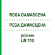 РОЗА ДАМАСЦЕНА (ROSA DAMASCENA) LM 110 розчин 10 мл - Гомеопатія ARCANA DR.SEWERIN