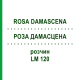 РОЗА ДАМАСЦЕНА (ROSA DAMASCENA) LM 120 розчин 10 мл - Гомеопатія ARCANA DR.SEWERIN