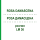 РОЗА ДАМАСЦЕНА (ROSA DAMASCENA) LM 36 розчин 10 мл - Гомеопатія ARCANA DR.SEWERIN