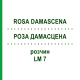 РОЗА ДАМАСЦЕНА (ROSA DAMASCENA) LM 7 розчин 10 мл - Гомеопатія ARCANA DR.SEWERIN