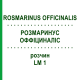 РОЗМАРИНУС ОФФІЦИНАЛІС (ROSMARINUS OFFICINALIS) LM 1 розчин 10 мл - Гомеопатія ARCANA DR.SEWERIN
