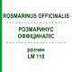 РОЗМАРИНУС ОФФІЦИНАЛІС (ROSMARINUS OFFICINALIS) LM 110 розчин 10 мл - Гомеопатія ARCANA DR.SEWERIN