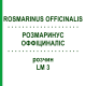 РОЗМАРИНУС ОФФІЦИНАЛІС (ROSMARINUS OFFICINALIS) LM 3 розчин 10 мл - Гомеопатія ARCANA DR.SEWERIN