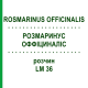 РОЗМАРИНУС ОФФІЦИНАЛІС (ROSMARINUS OFFICINALIS) LM 36 розчин 10 мл - Гомеопатія ARCANA DR.SEWERIN