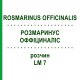 РОЗМАРИНУС ОФФІЦИНАЛІС (ROSMARINUS OFFICINALIS) LM 7 розчин 10 мл - Гомеопатія ARCANA DR.SEWERIN