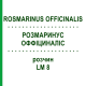 РОЗМАРИНУС ОФФІЦИНАЛІС (ROSMARINUS OFFICINALIS) LM 8 розчин 10 мл - Гомеопатія ARCANA DR.SEWERIN