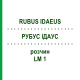 РУБУС ІДАУС (RUBUS IDAEUS) LM 1 розчин 10 мл - Гомеопатія ARCANA DR.SEWERIN