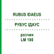 РУБУС ІДАУС (RUBUS IDAEUS) LM 100 розчин 10 мл - Гомеопатія ARCANA DR.SEWERIN