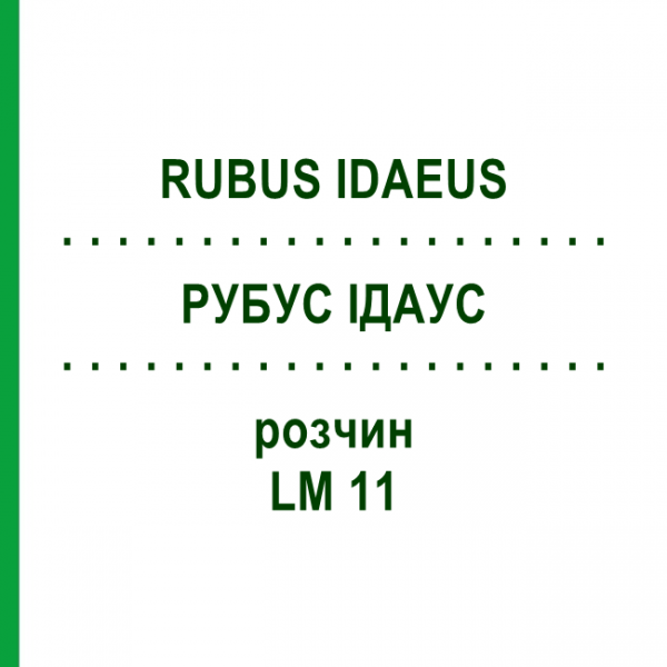 РУБУС ІДАУС (RUBUS IDAEUS) LM 11 розчин 10 мл - Гомеопатія ARCANA DR.SEWERIN