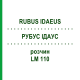 РУБУС ІДАУС (RUBUS IDAEUS) LM 110 розчин 10 мл - Гомеопатія ARCANA DR.SEWERIN