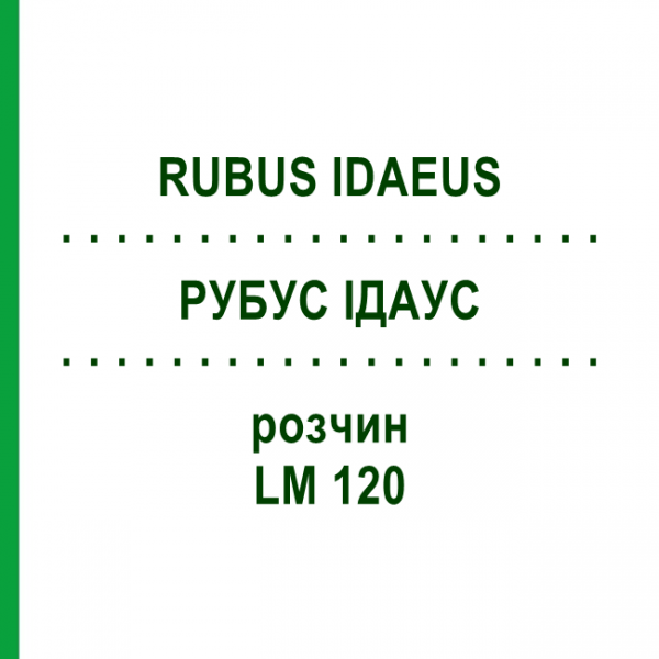 РУБУС ІДАУС (RUBUS IDAEUS) LM 120 розчин 10 мл - Гомеопатія ARCANA DR.SEWERIN