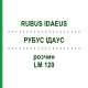 РУБУС ІДАУС (RUBUS IDAEUS) LM 120 розчин 10 мл - Гомеопатія ARCANA DR.SEWERIN