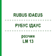 РУБУС ІДАУС (RUBUS IDAEUS) LM 13 розчин 10 мл - Гомеопатія ARCANA DR.SEWERIN
