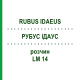 РУБУС ІДАУС (RUBUS IDAEUS) LM 14 розчин 10 мл - Гомеопатія ARCANA DR.SEWERIN