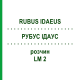 РУБУС ІДАУС (RUBUS IDAEUS) LM 2 розчин 10 мл - Гомеопатія ARCANA DR.SEWERIN