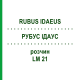 РУБУС ІДАУС (RUBUS IDAEUS) LM 21 розчин 10 мл - Гомеопатія ARCANA DR.SEWERIN