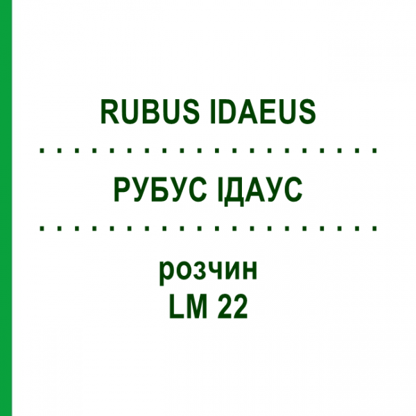 РУБУС ІДАУС (RUBUS IDAEUS) LM 22 розчин 10 мл - Гомеопатія ARCANA DR.SEWERIN