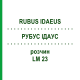 РУБУС ІДАУС (RUBUS IDAEUS) LM 23 розчин 10 мл - Гомеопатія ARCANA DR.SEWERIN