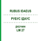 РУБУС ІДАУС (RUBUS IDAEUS) LM 27 розчин 10 мл - Гомеопатія ARCANA DR.SEWERIN