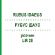 РУБУС ІДАУС (RUBUS IDAEUS) LM 28 розчин 10 мл - Гомеопатія ARCANA DR.SEWERIN