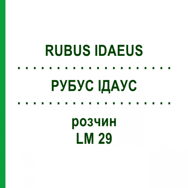 РУБУС ІДАУС (RUBUS IDAEUS) LM 29 розчин 10 мл - Гомеопатія ARCANA DR.SEWERIN
