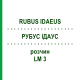 РУБУС ІДАУС (RUBUS IDAEUS) LM 3 розчин 10 мл - Гомеопатія ARCANA DR.SEWERIN