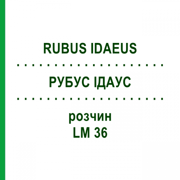РУБУС ІДАУС (RUBUS IDAEUS) LM 36 розчин 10 мл - Гомеопатія ARCANA DR.SEWERIN